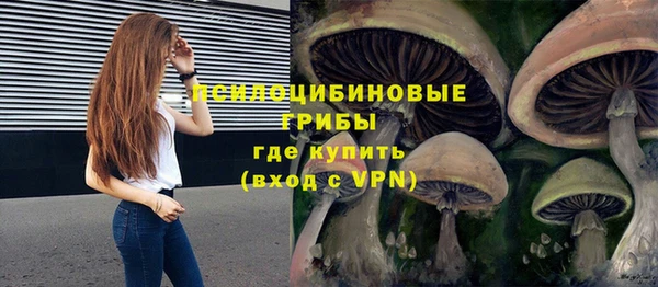 ECSTASY Балахна