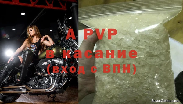 ECSTASY Балахна