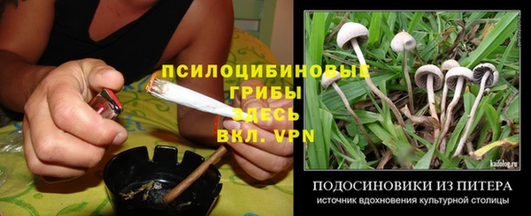 ECSTASY Балахна