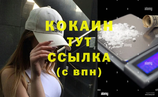 spice Баксан