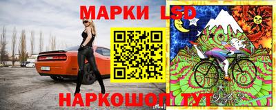 ECSTASY Аргун