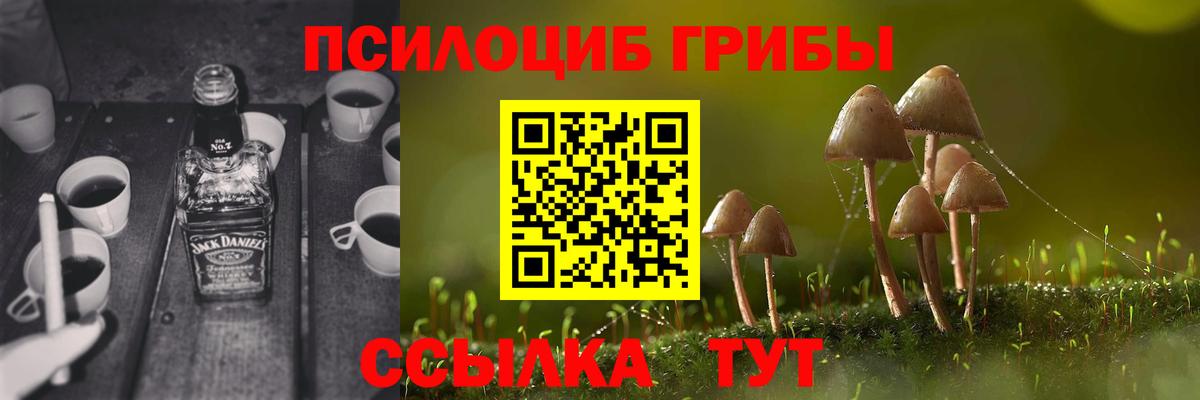 Баксан  Псилоцибиновые грибы Psilocybine cubensis  Вход с VPN 